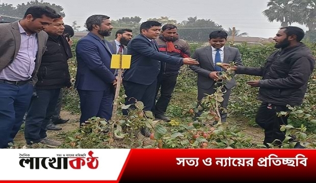 কুষ্টিয়ায় তরুন উদ্যোক্তা আবু সাইদের কুলবাগান পরিদর্শনে জেলা প্রশাসক