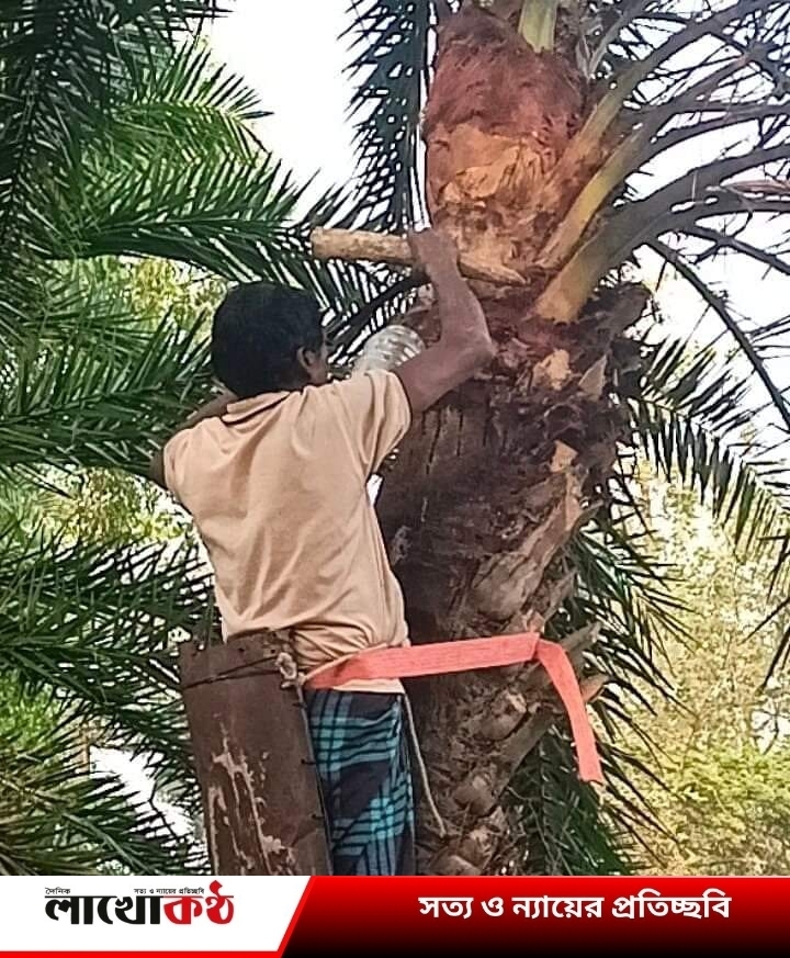 খেজুরের রস থেকে গুড় তৈরিতে ব্যস্ত গাছিরা