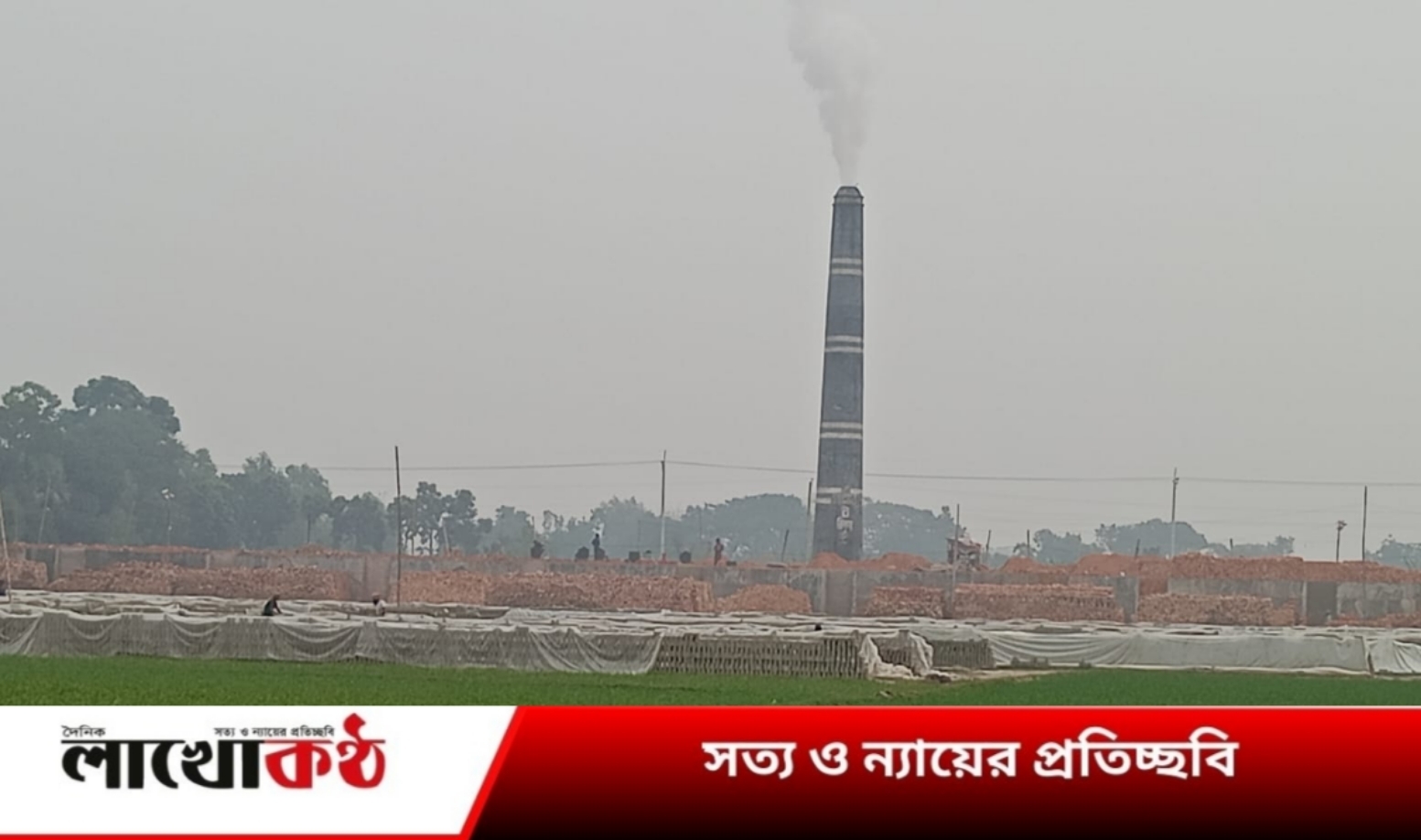 কুষ্টিয়ায় অবৈধ ইটভাটার দৌরাত্ম চলছেই!