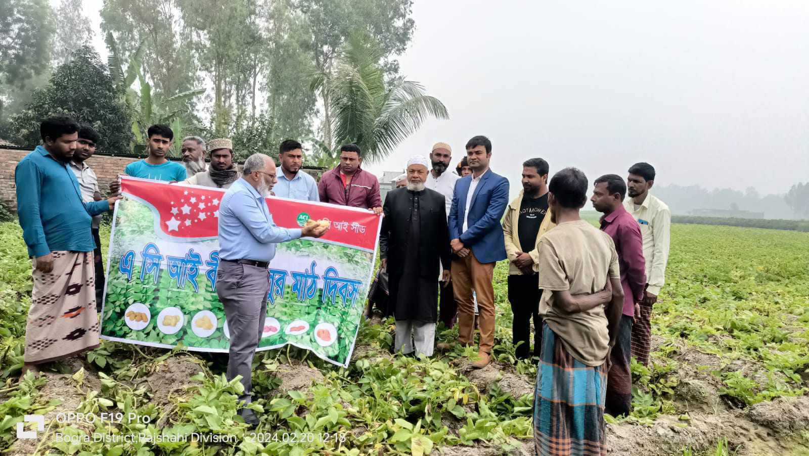 বগুড়ায় ভ্যালেনসিয়া জাতের আলু চাষে অধিক লাভের প্রত্যাশা কৃষকের 