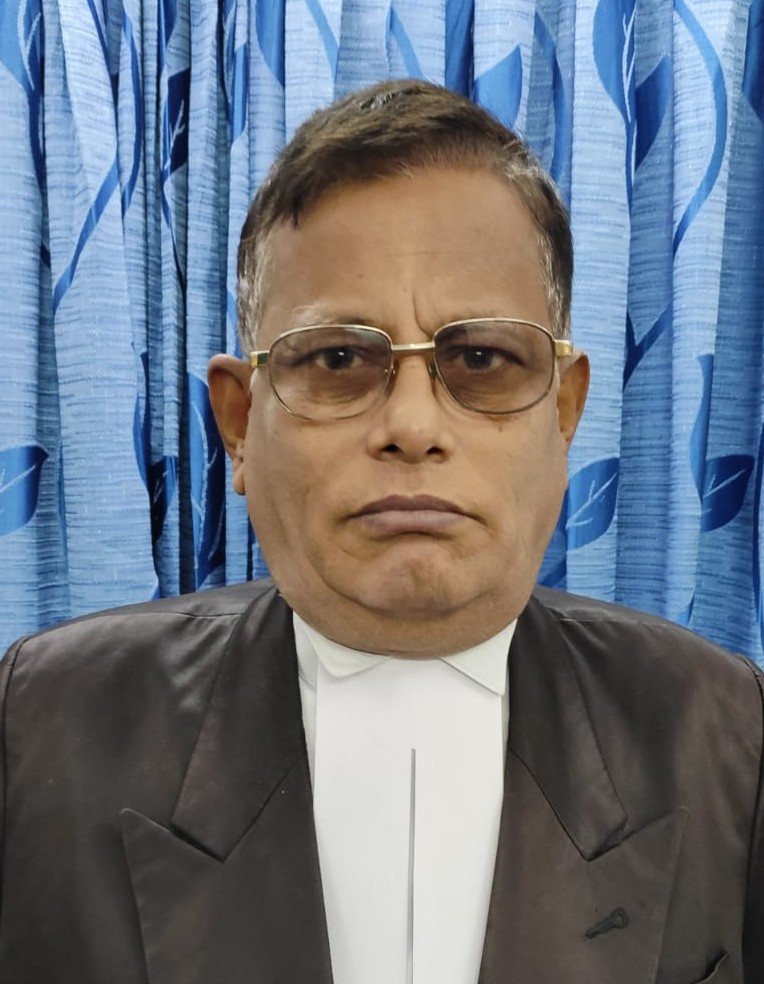 দ্রুত বিচার ট্রাইব্যুনালের পিপি হলেন এড.মুহাম্মদ আব্দুল নূর ভূঁইয়া বাবলু।