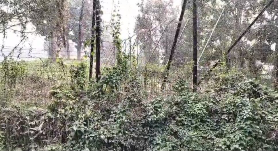 কসবা সীমান্তে বিএসএফ’র গুলিতে বাংলাদেশি নিহত