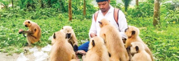 হনুমানের অকৃত্রিম বন্ধু নাজমুল