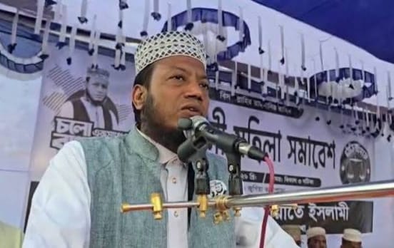 নির্বাচন হবে অস্ট্রেলিয়া-উগান্ডা ক্রিকেট ম্যাচের মতো : আমির হামজা
