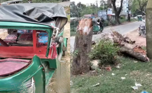 বড়লেখায় চলন্ত অটোরিকশায় গাছ ভেঙে পড়ে নারীর মর্মান্তিক মৃ/ত্যু