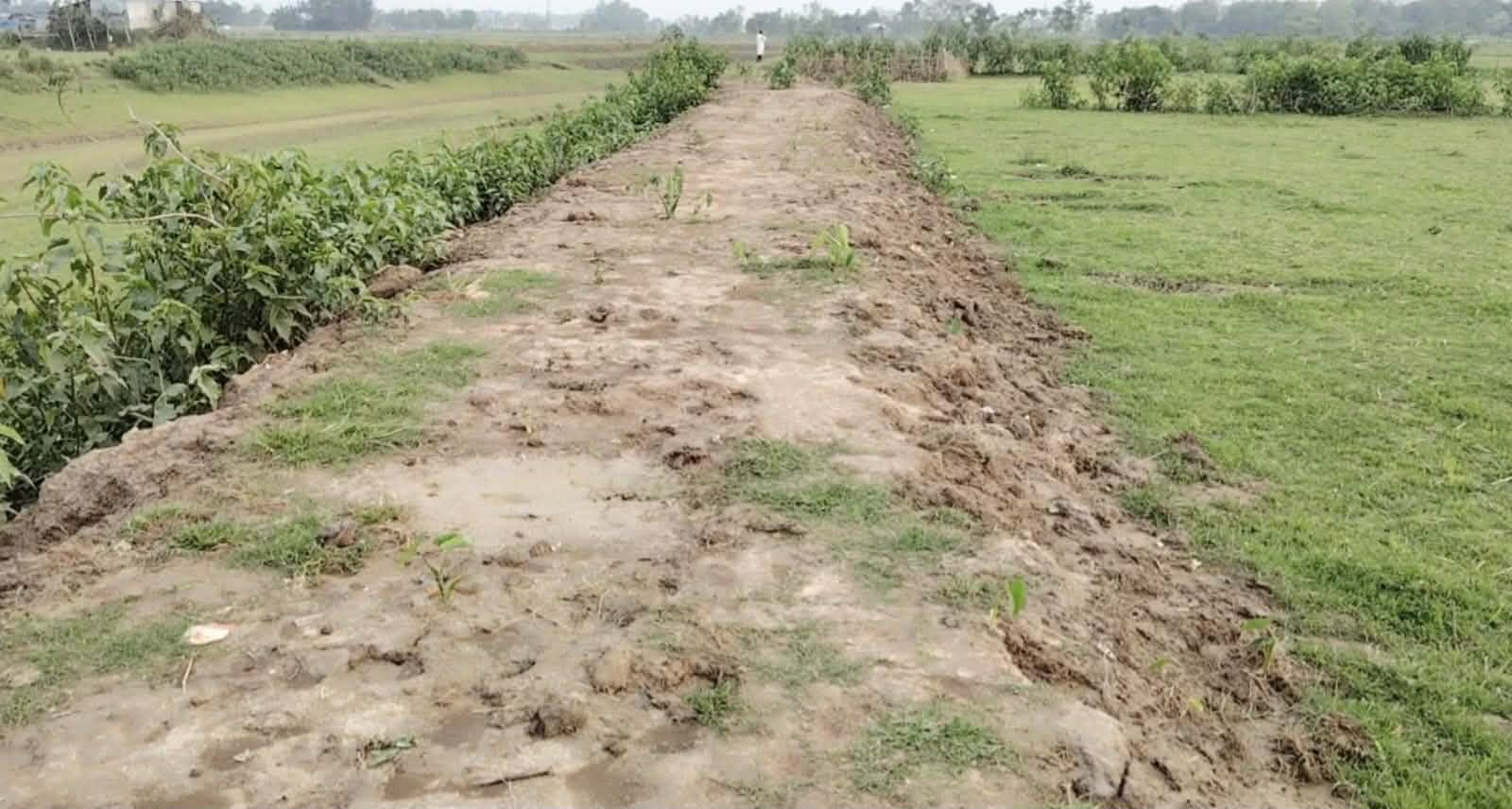 ছাতকে হাওরের ফসল রক্ষা বাঁধে অনিয়মের অভিযোগ, হরিলুটে মেতে উঠেছে একটি চক্র