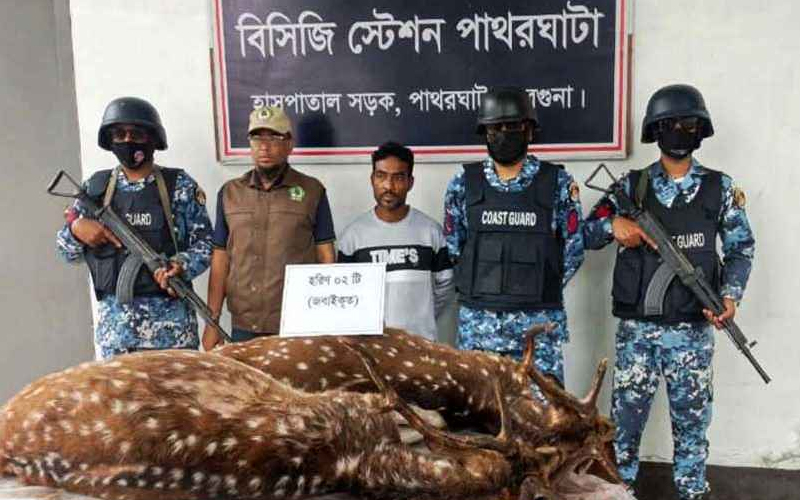 বন্যপ্রাণী শিকার করায় স্বামীকে তালাক দিলেন স্ত্রী