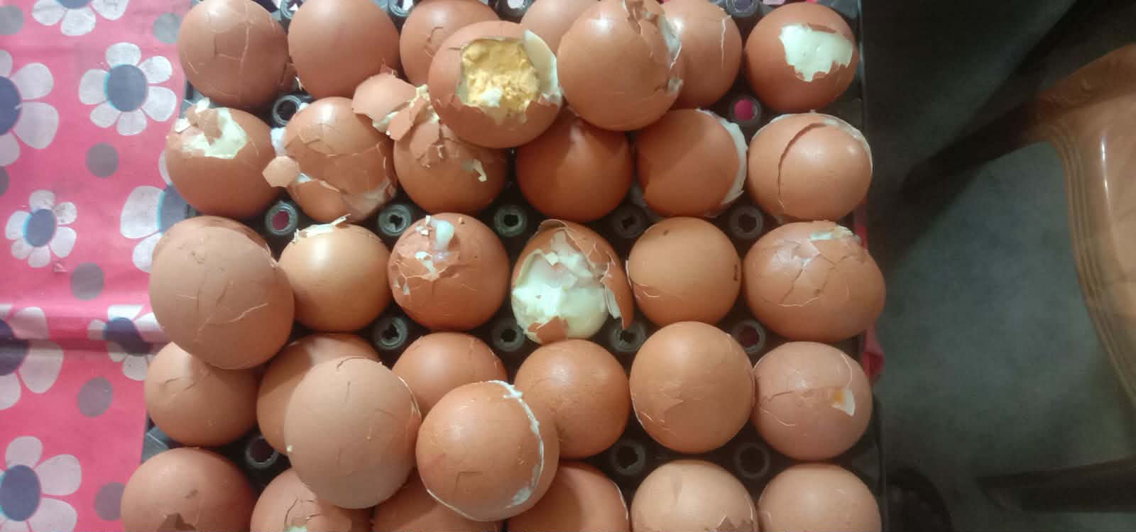 প্রশাসনের দায়সারা মন্তব্য/ আনোয়ারায় স্কুল ফিডিং কার্যক্রমে ৫ম দিনেও অনিয়ম