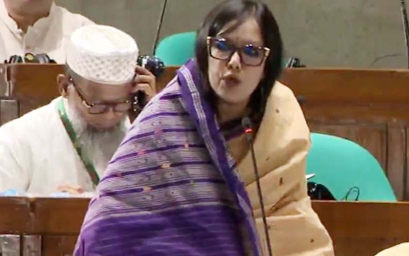 নারী এমপিকে নিয়ে অনাকাঙ্ক্ষিত মন্তব্যের বিচার চাইলেন রুমিন ফারহানা