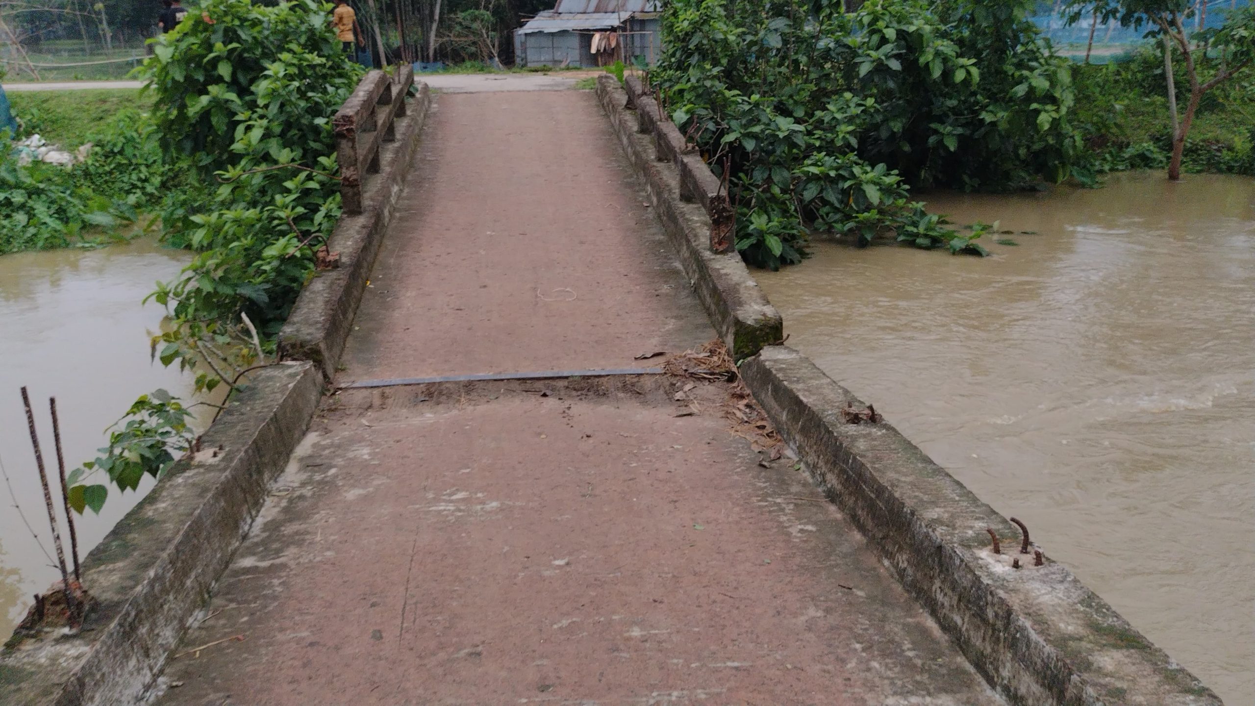 ​কুলাউড়ার রাউৎগাঁও ভবানীপুর গ্রামে ফানাই নদীর ওপর দেবে যাওয়া ব্রিজ এখন মরণফাঁদ