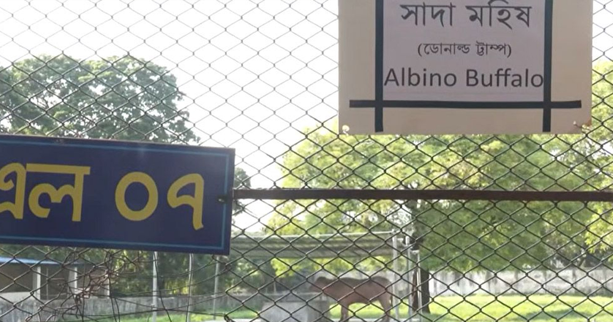 এবার মহিষ ‘ডোনাল্ড ট্রাম্প’ বানান ভুল লিখে ভাইরাল চিড়িয়াখানা কর্তৃপক্ষ