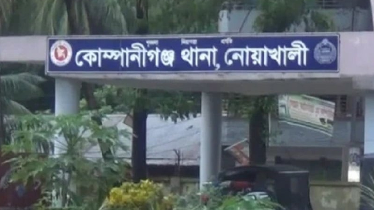 নোয়াখালীতে টিন কেটে ঘরে ঢুকে গৃহবধূকে ধর্ষণের অভিযোগ, আটক ১