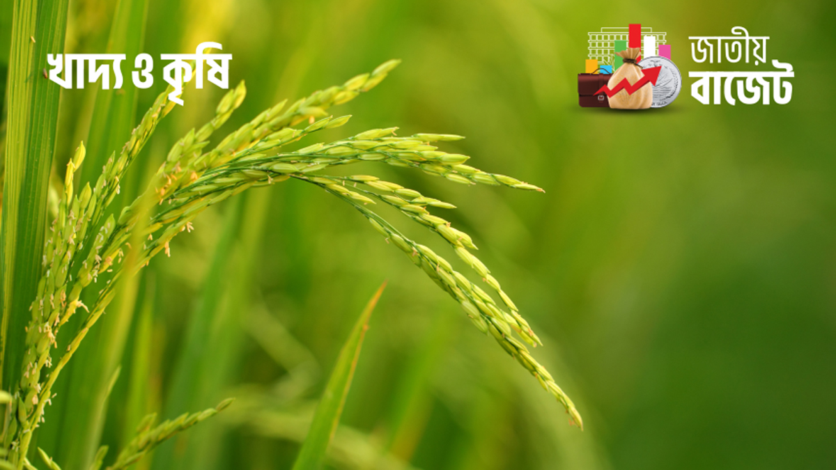 বাজেট ২০২৬-২৭: কৃষিতে বরাদ্দ ৪৩ হাজার কোটি