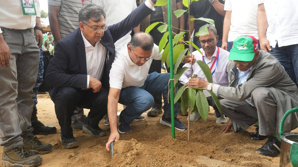 ২৫ কোটি বৃক্ষরোপণ কর্মসূচির উদ্বোধন করলেন প্রধানমন্ত্রী