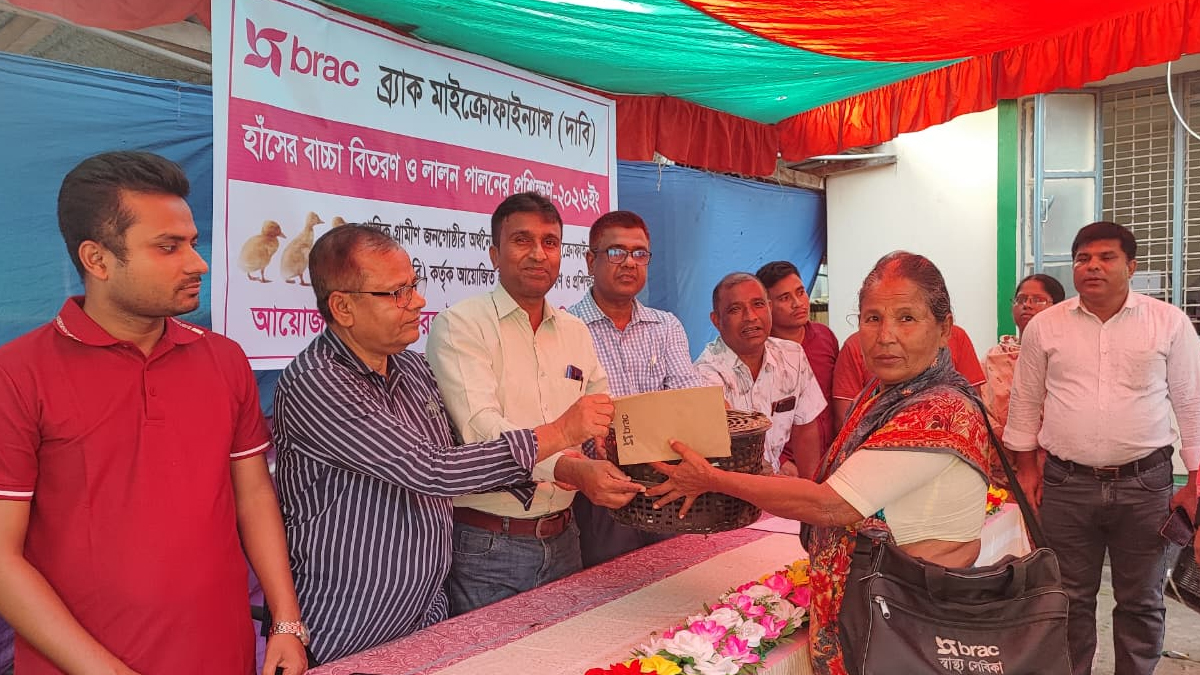লালমনিরহাটে ব্র্যাকের উদ্যোগে ৪৩ পরিবারের মাঝে হাঁসের বাচ্চা বিতরণ