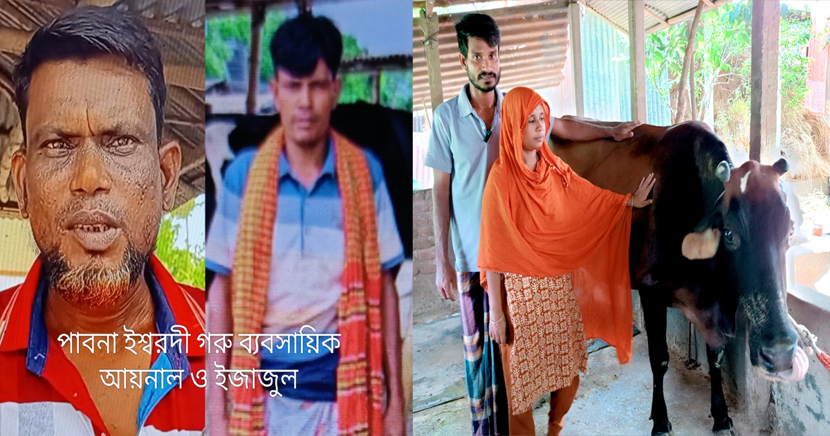 ২৫ কেজি দুধের প্রলোভন দেখিয়ে গাভী বিক্রির অভিযোগ
