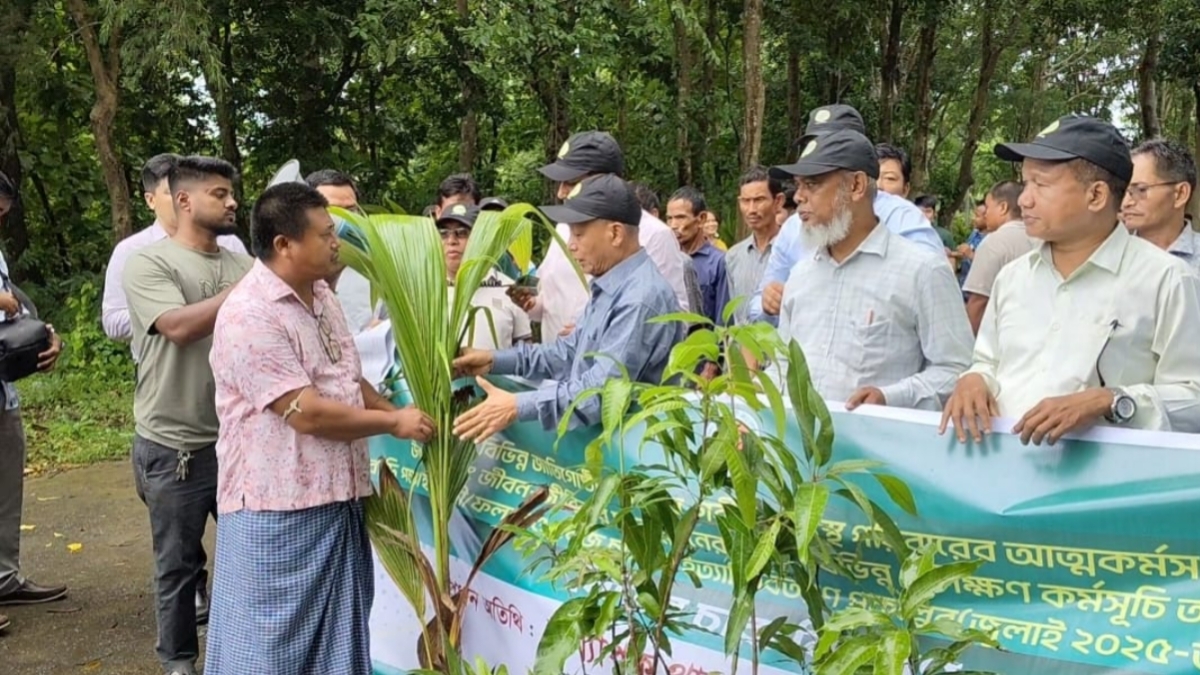 বান্দরবানে ৫০ পরিবারের মাঝে ফলজ চারা, সার ও কীটনাশক বিতরণ