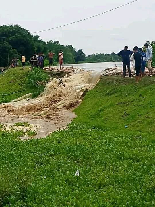 মনু নদীর বাঁধ ভেঙে লোকালয়ে পানি প্রবেশ, কয়েকটি গ্রামে প্লাবনের আশঙ্কা