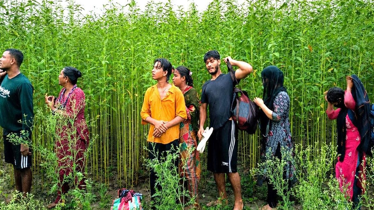 কুষ্টিয়া সীমান্তে ৮ জনকে পুশ-ইনের চেষ্টা, প্রতিহত করল বিজিবি