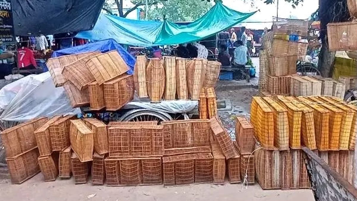 চুয়াডাঙ্গায় বর্ষায় জমে উঠেছে মাছ ধরার ‘বিত্তি’ বাজার