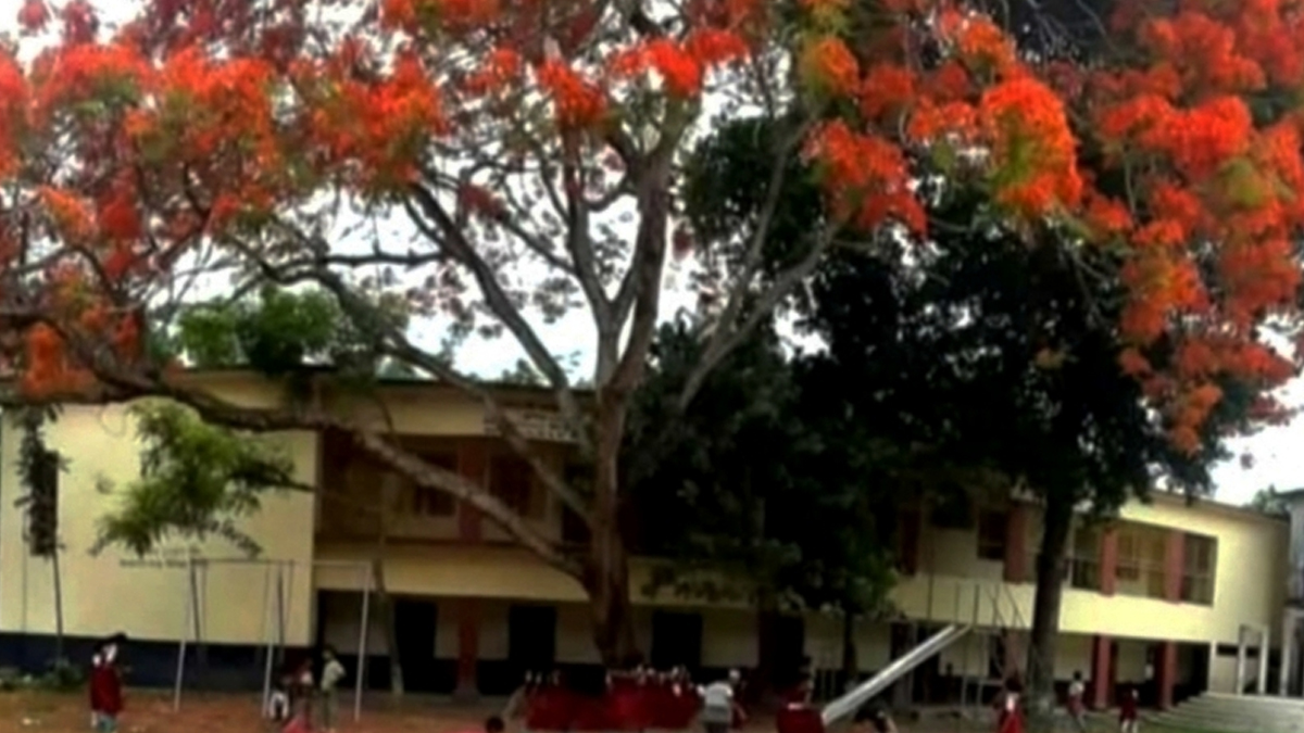 শিক্ষার্থীকে নির্যাতনের অভিযোগ, সহকারী শিক্ষকের বিরুদ্ধে তদন্ত শুরু