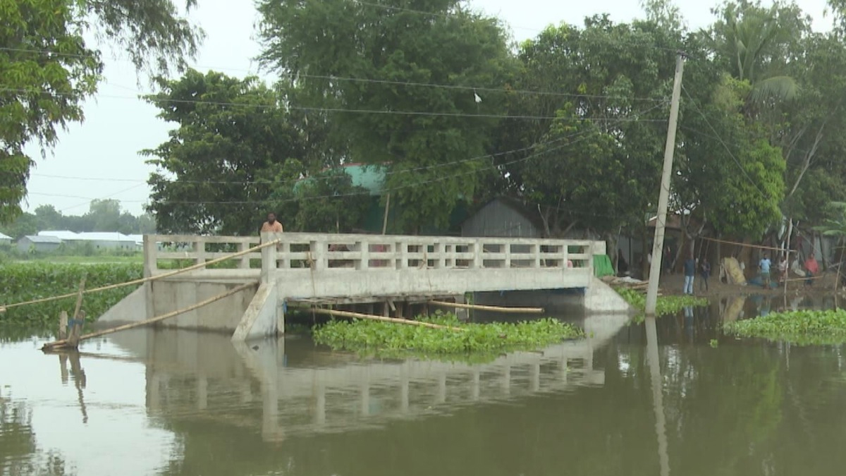 পাবনার সুজানগরে ৩ কোটি টাকার ৮ সেতুর কাজ দুই বছরেও শেষ হয়নি