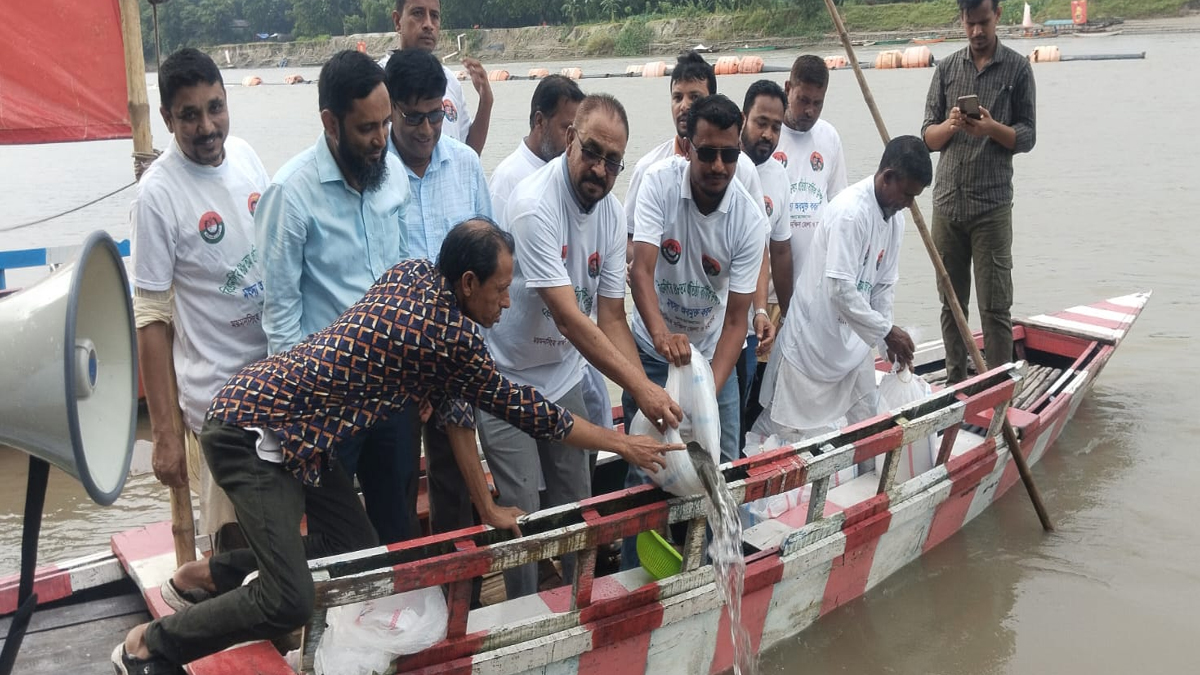 বিএনপির প্রতিষ্ঠাবার্ষিকীতে ময়মনসিংহে ব্রহ্মপুত্রে মাছের পোনা অবমুক্ত