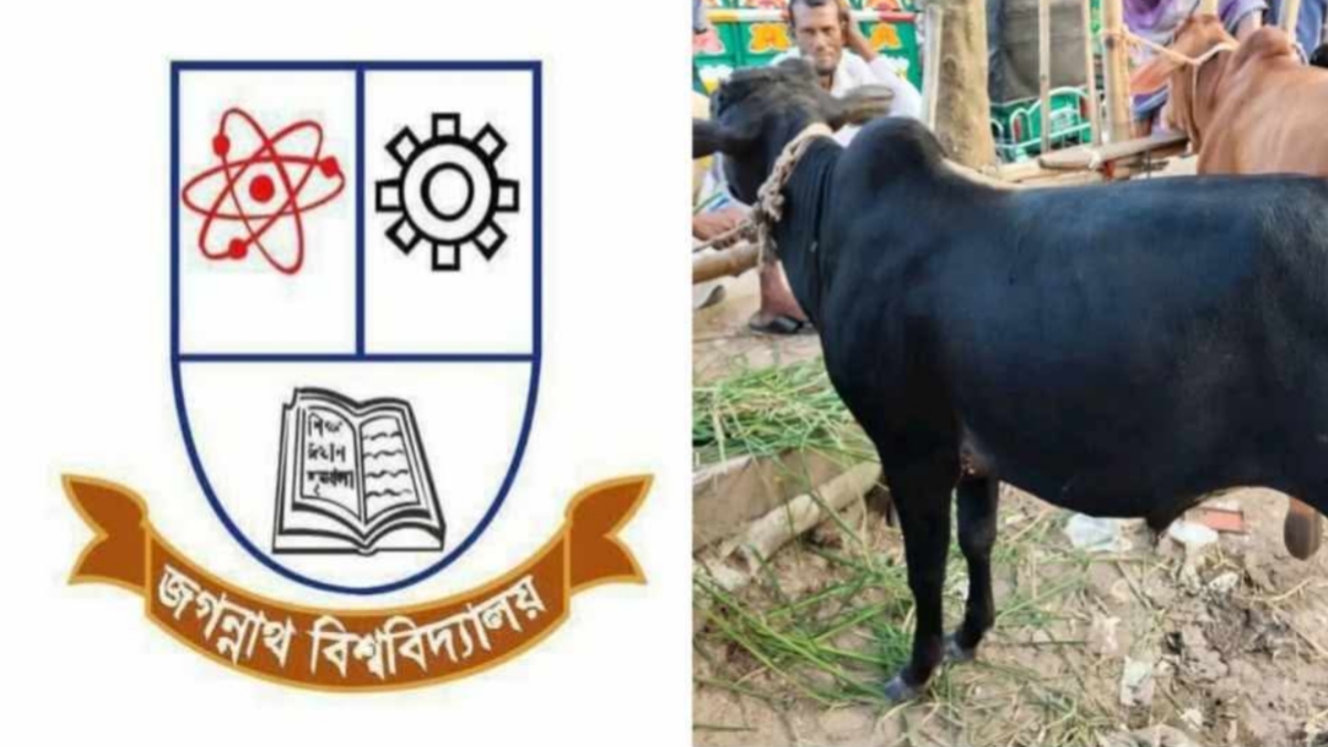 জবিতে শনিবার আবারও গরুভোজ, সন্ধ্যায় কাওয়ালী অনুষ্ঠান