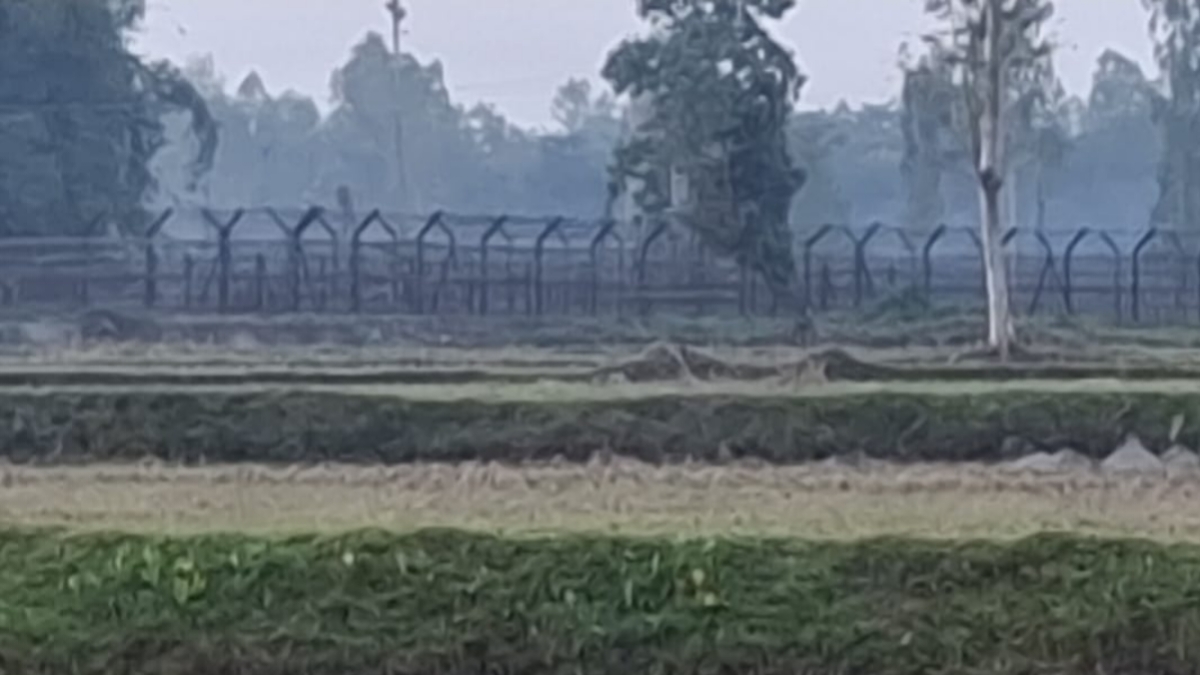 বিজিবির বাধায় পুশইন ব্যর্থ, সীমান্তে অবস্থান করছে নারী-শিশুসহ ১২