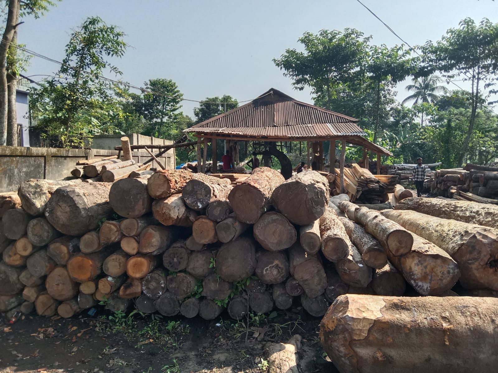 মৌলভীবাজারের জুড়ীতে অনুমোদন ছাড়াই চলছে ৪ করাতকল – নীরব বন বিভাগ